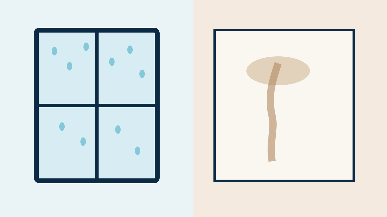 Illustration comparing condensation versus a plumbing leak in a home